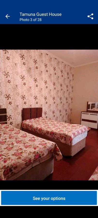 Tamuna Guest House Martwili Zewnętrze zdjęcie