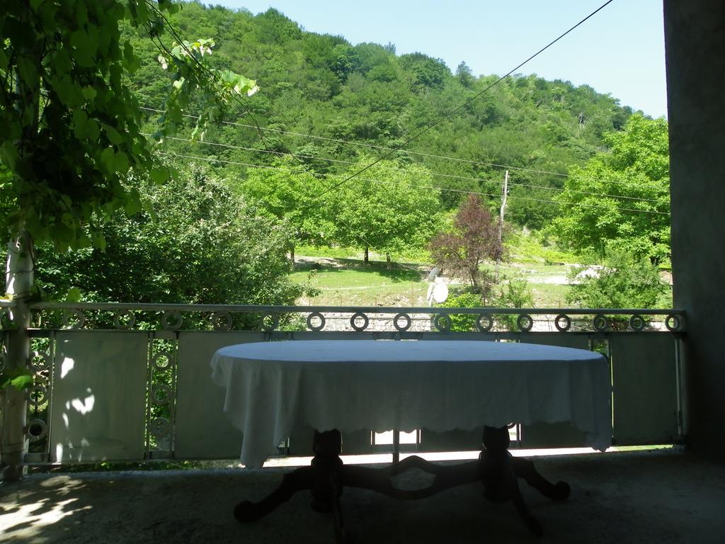 Tamuna Guest House Martwili Zewnętrze zdjęcie